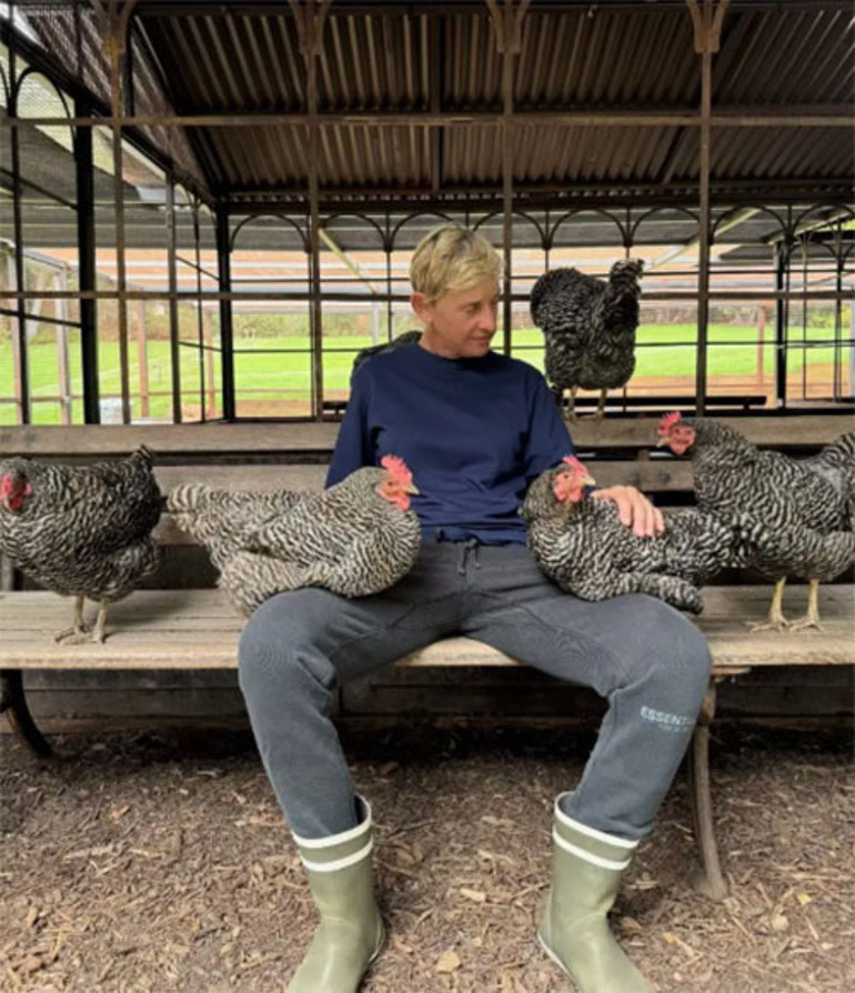 Ünlü sunucunun doğal yaşam hevesi kabusa döndü... Büyük rüya sele kapıldı... Milyonlar uçtu gitti