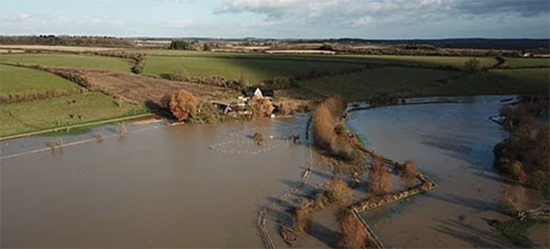 Ünlü sunucunun doğal yaşam hevesi kabusa döndü... Büyük rüya sele kapıldı... Milyonlar uçtu gitti