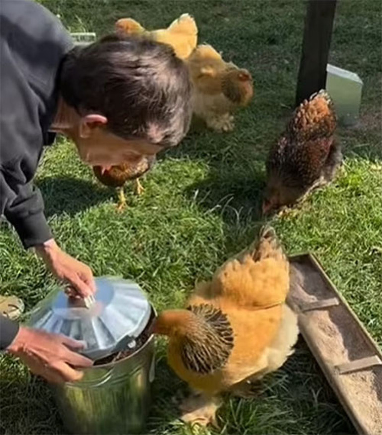 Ünlü sunucunun doğal yaşam hevesi kabusa döndü... Büyük rüya sele kapıldı... Milyonlar uçtu gitti