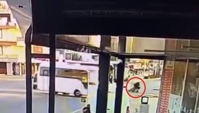 Kim bu utanmazlar Mezarlıkta pes dedirten skandal: Acılı baba en sonunda kamera ile önlem aldı