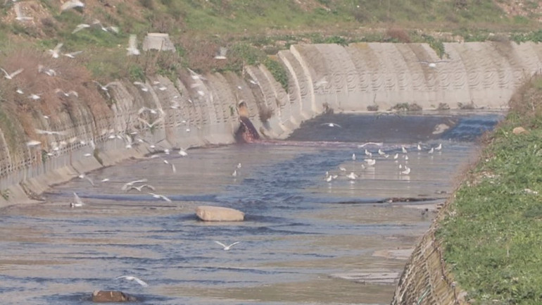 Rengi kırmızıya döndü İstanbulda tepki çeken görüntü ve koku