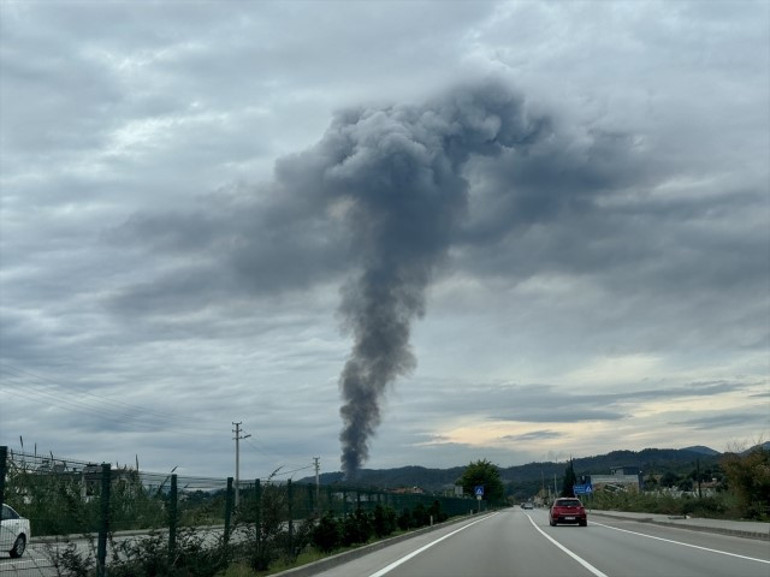 Birinde başlayıp diğerlerine sıçradı: Ünlü koyda karavan yangını