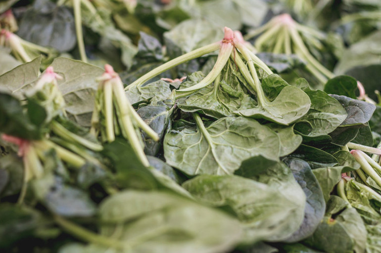 Güzelavrat otu, ıspanak yapraklarının arasına karışıp zehirliyor Kökleri yoksa almayın Ciddi vakalarda nöbet ve koma gelişebilir