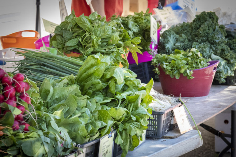 Güzelavrat otu, ıspanak yapraklarının arasına karışıp zehirliyor Kökleri yoksa almayın Ciddi vakalarda nöbet ve koma gelişebilir