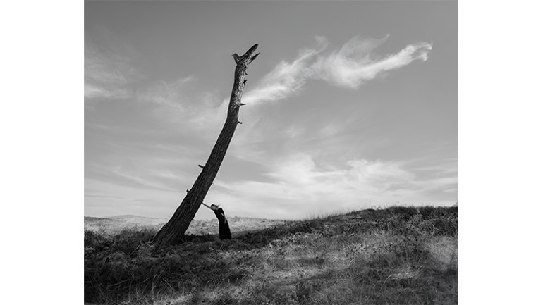 Konser konser gezeceğiz