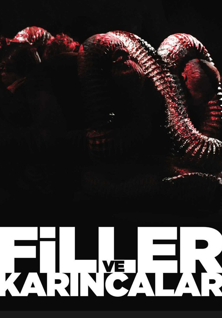 Konser konser gezeceğiz