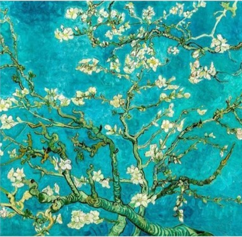 Konser konser gezeceğiz