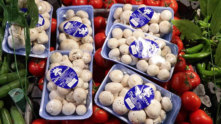 İstanbulda 60 kişiyi zehirledi: Yedikten 5 saat sonra etkisi başlıyor Uzmanı uyardı: Yok edici melek gibi isimler koymuşlar