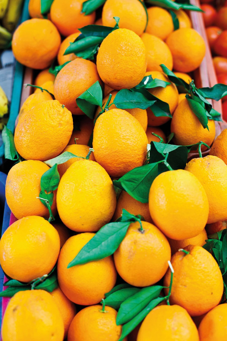 Gastronomi kazanında kaynayanlar