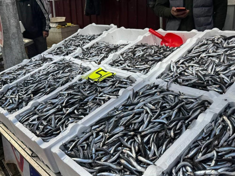  150 liradan satılıyor | 3 aydan beri ucuza yiyorduk