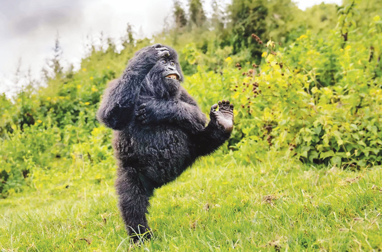 Aşı olmazlarsa tedavisi zor hastalıklar yaşayabilirler
