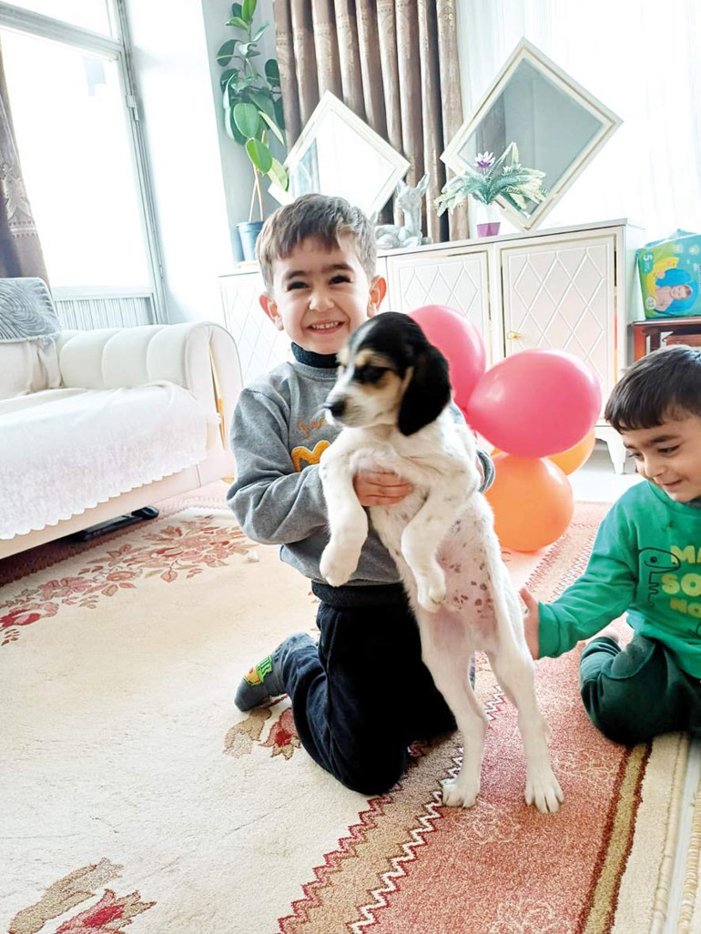 Can dostlara örnek barınak