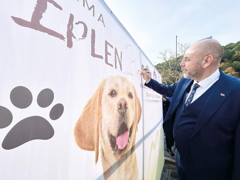 Can dostlara örnek barınak