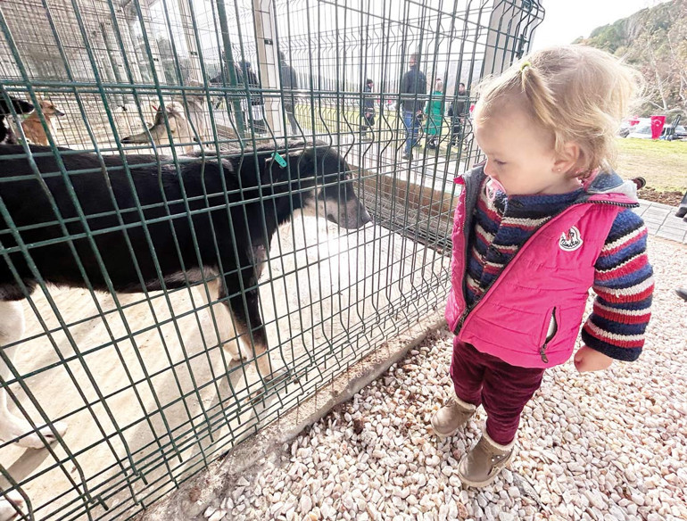 Can dostlara örnek barınak