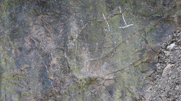 Çinde 200 milyon yıllık dinozor ayak izleri keşfedildi