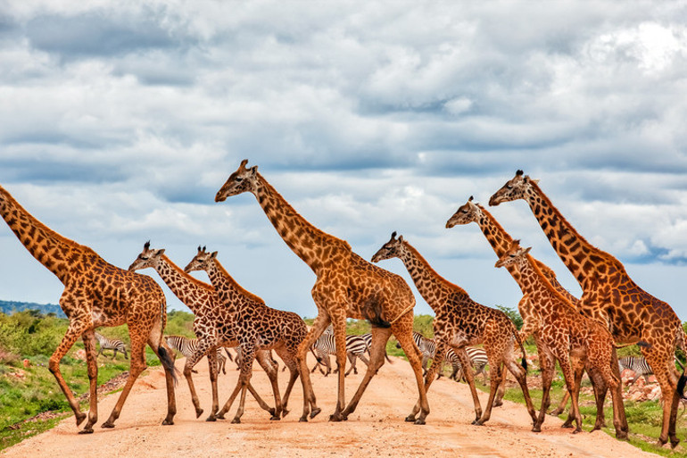 Afrika’nın kalbinde 6 bin 400 kilometrelik keşif: Büyük Rift Vadisi