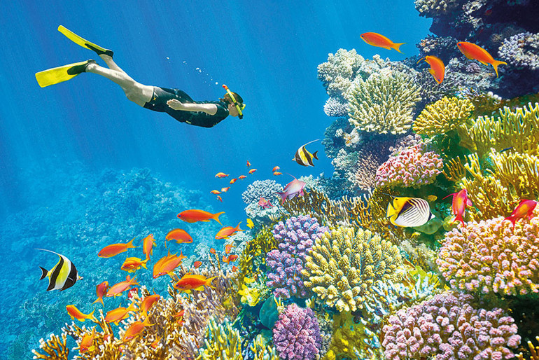 Türklerin yeni gözdesi Mısır