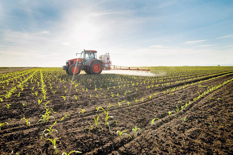 Türkiye tarımda merkez ülke olur… Sadece nezaket cümlesi değil dünyanın gerçeği