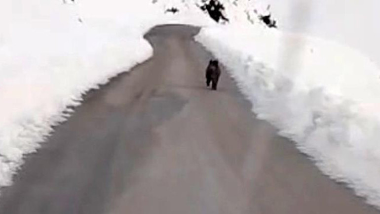 Yoğun kar yağışı sonrası kent merkezine kaçtılar Tedbirli olmalıyız