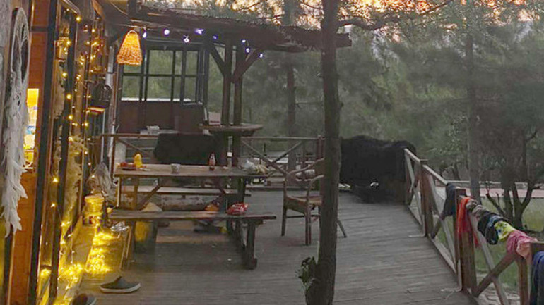 Gıda mühendisinden 6 aydır tek bir iz yok Her geçen gün kaygılarım artıyor