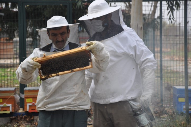 İyi bal nasıl anlaşılır Uzman isim açıkladı... Sanılanın aksine bu şekilde olması gerekiyor