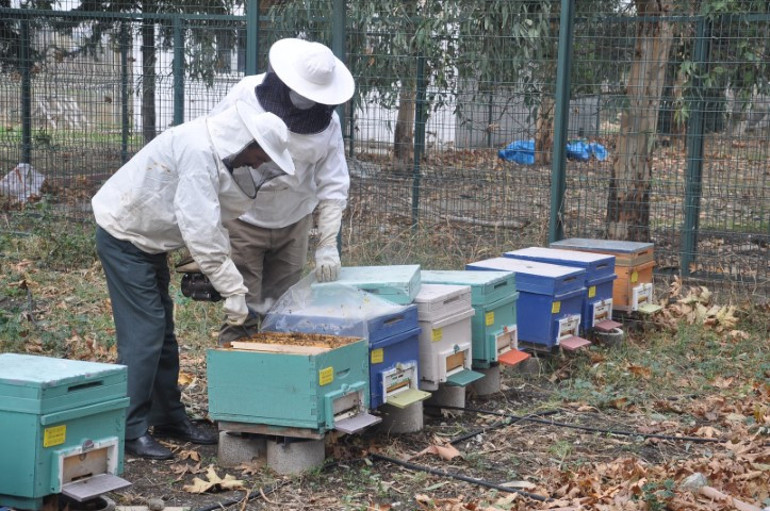 İyi bal nasıl anlaşılır Uzman isim açıkladı... Sanılanın aksine bu şekilde olması gerekiyor