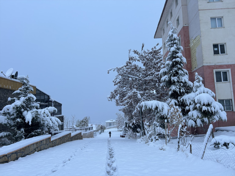 Karla kaplanan kırsal alanlar