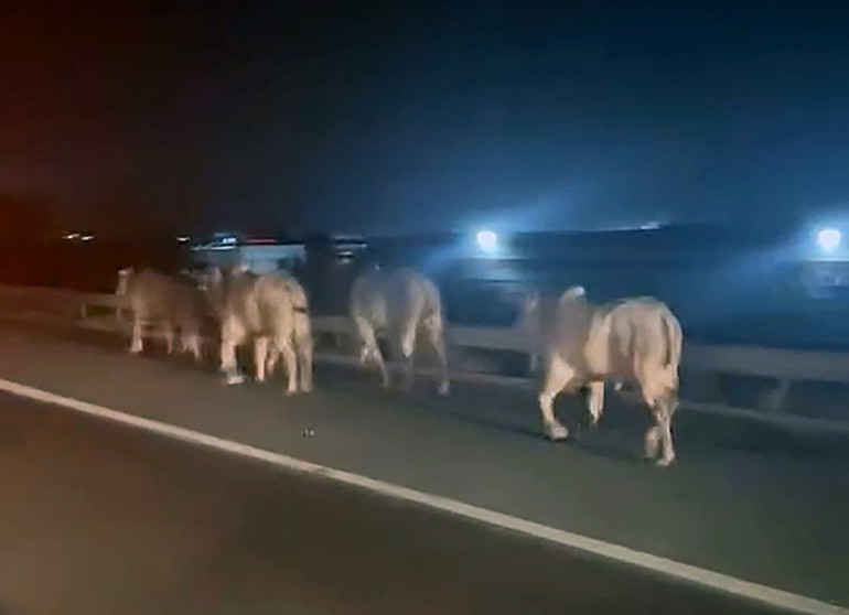 Hatayda feci kaza: Bariyerlere çarpıp devrilen TIR alev aldı 2 kişi hayatını kaybetti
