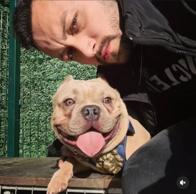 Şişlideki feci kazada 2 kişi hayatını kaybetmişti Kahreden detay ortaya çıktı: Hakan öldü, köpeği kayıp