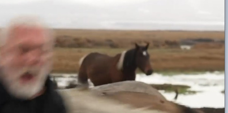 Sanatçı Onur Akına klip çekiminde at çarptı