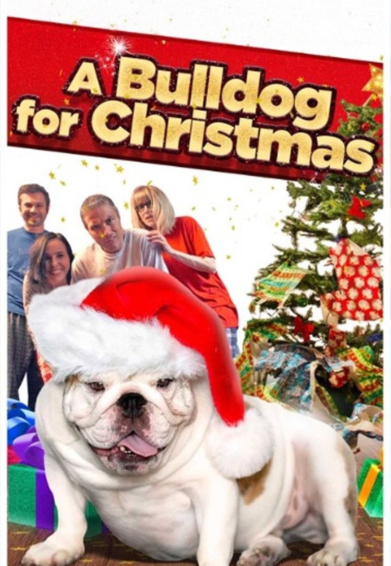 Yılbaşı eğlencesi başlıyor