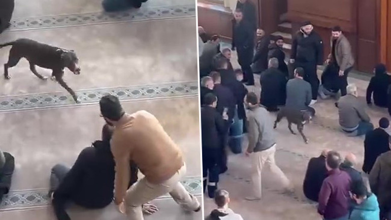 Camiye pitbull girdi Vatandaşlar büyük korku yaşadı