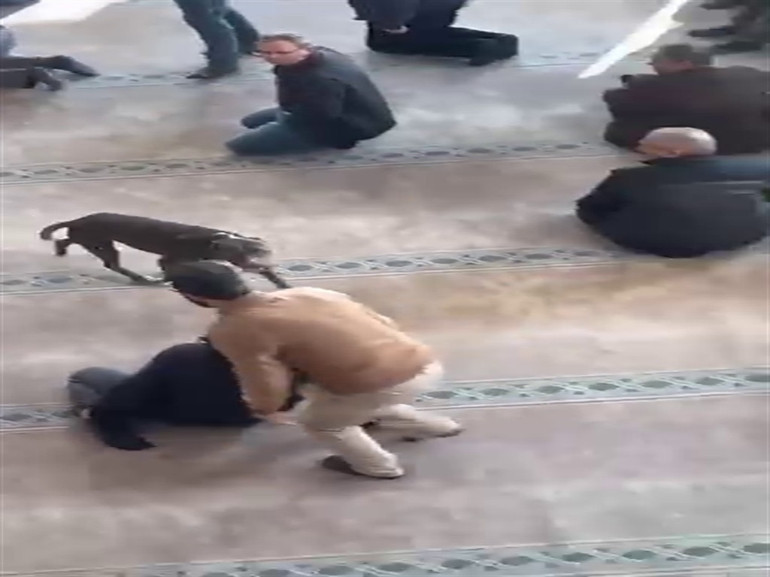 Pitbul cami cemaatinin arasına dalmıştı… Sahibine adli ve idari işlem uygulandı