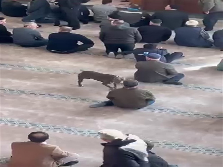 Pitbul cami cemaatinin arasına dalmıştı… Sahibine adli ve idari işlem uygulandı