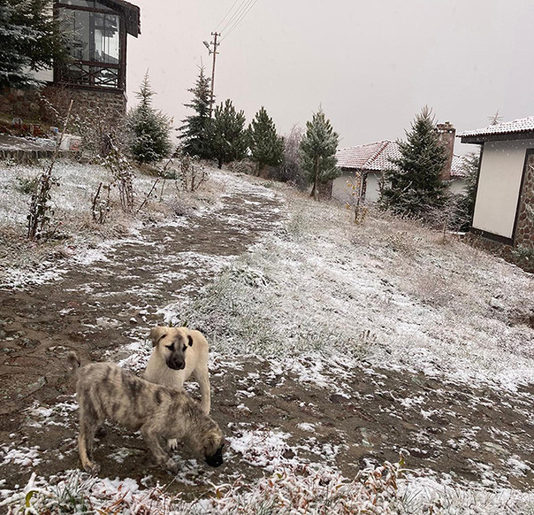 Beklenen kar yağışı başladı Nihayet her yer beyaza bürüdü