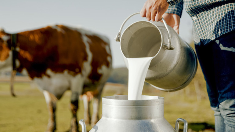  Süt hakkında bildiğiniz her şeyi unutun