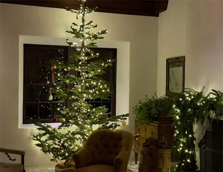 Ailesinden bağımsız olmak istedi... At çiftliğine milyonlar yatırdı