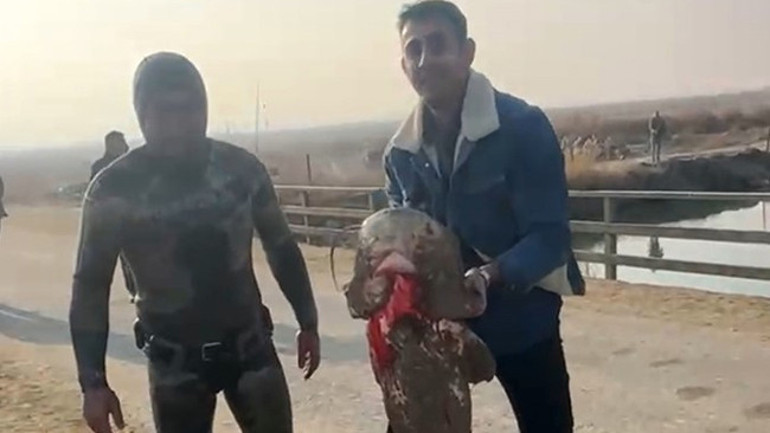 Olta ve ağ kullanmadan balıkları yakalıyor: İnanmayan gelip görebilir