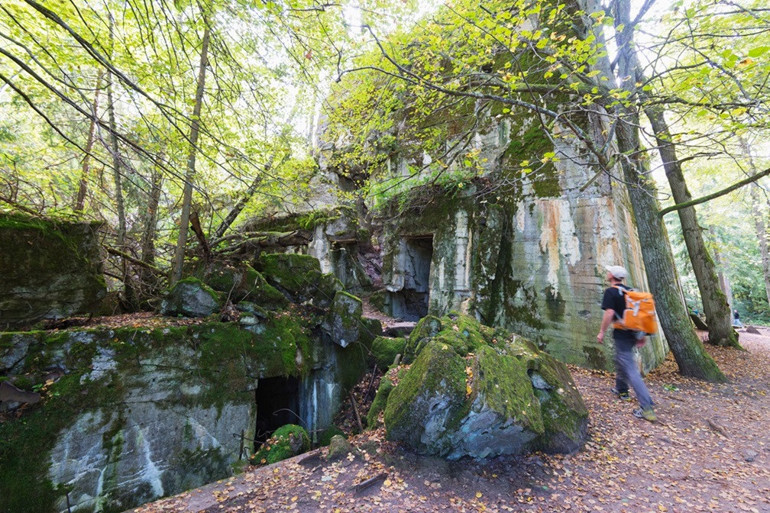 Masurya’nın sessiz ormanlarından Hitler’in karargahına: Polonya’da unutulmaz bir gezi