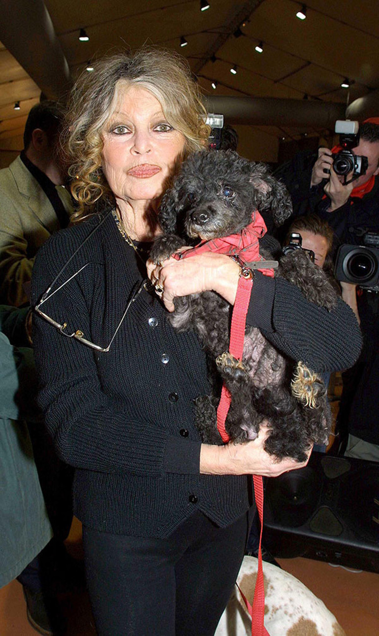 Sinemanın efsane yüzü Brigitte Bardot hayatını kaybetti