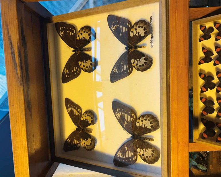 Fransa’dan Konya’ya uzanan yolculuk