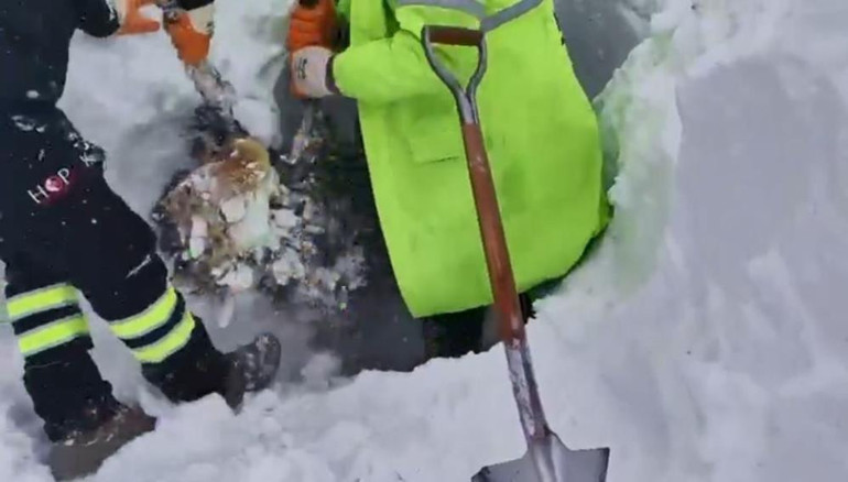 Arama kurtarma çalışmaları yeniden başladı