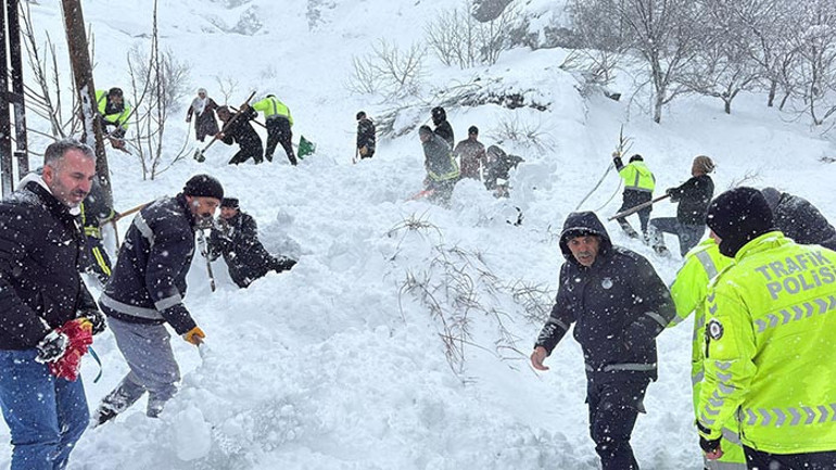Son dakika... Vanda iki mahalleye çığ düştü: 1 kişi kayıp, 22 ev boşaltıldı