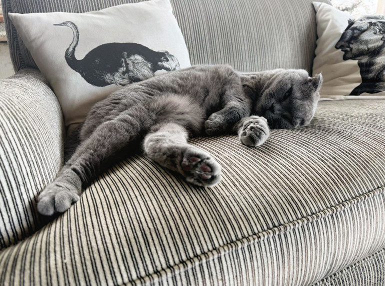 Yeni yıla bunlarla girdim