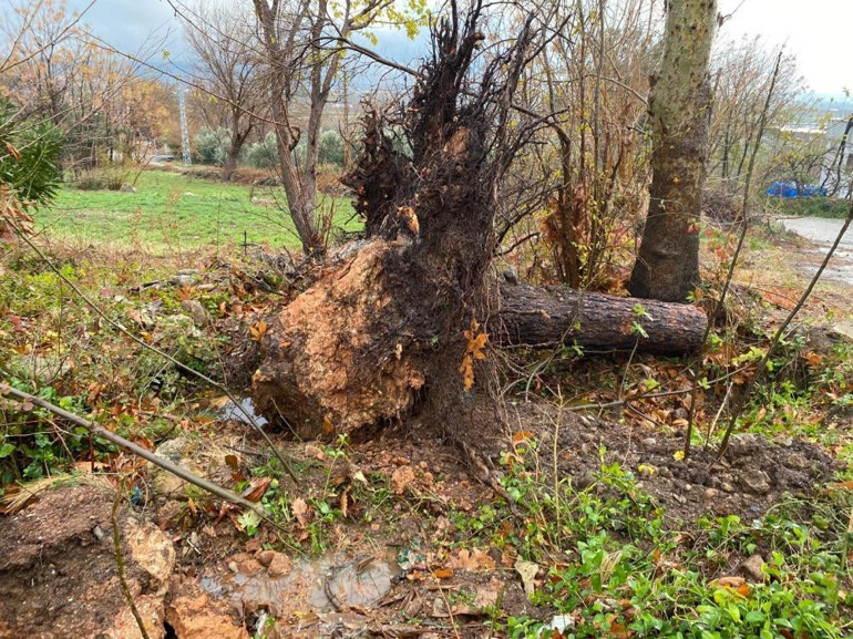Tekrar kar gelecek dedi tarih verdi Rüzgar, don, buzlanma ve çığ tehlikesi uyarısı | Kuvvetli sağanak yağış geliyor: Bu illerde yaşayanlar dikkat