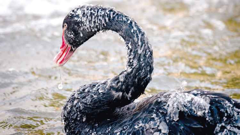  Termometreler eksi 24’ü gördü