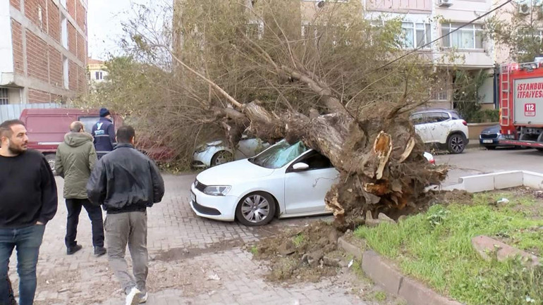 Türkiye’nin kuzey kutbu -39.7 Dondurucu soğuklara 1 hafta mola