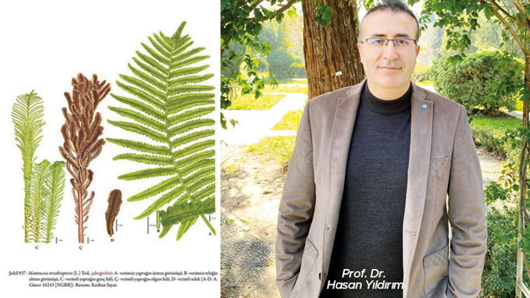 Anadolu bitki cenneti çıktı