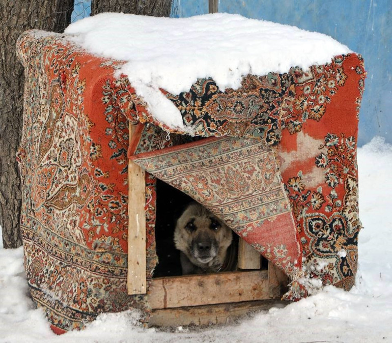 İkinci Dünya Savaşında donanmada görev aldılar