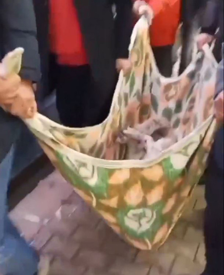  Gömüldüğü yerden çıkarıldı